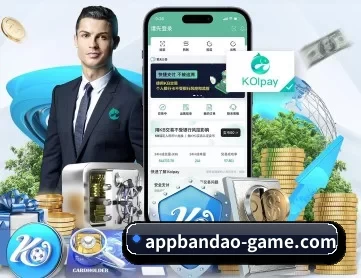 半岛娱乐官网 APP 深度功能 | bandaoyule