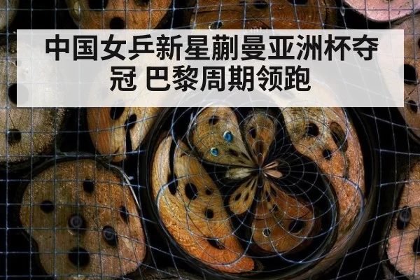 中国女乒新星蒯曼亚洲杯夺冠 巴黎周期领跑（bandaoyule）